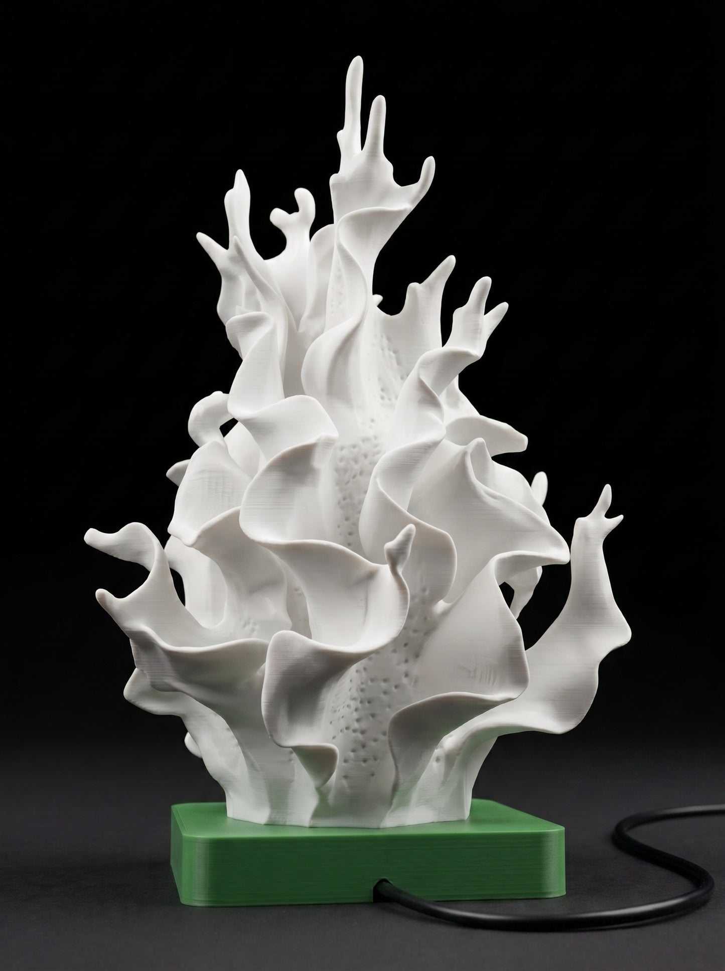 SeaCoral Light Lamp