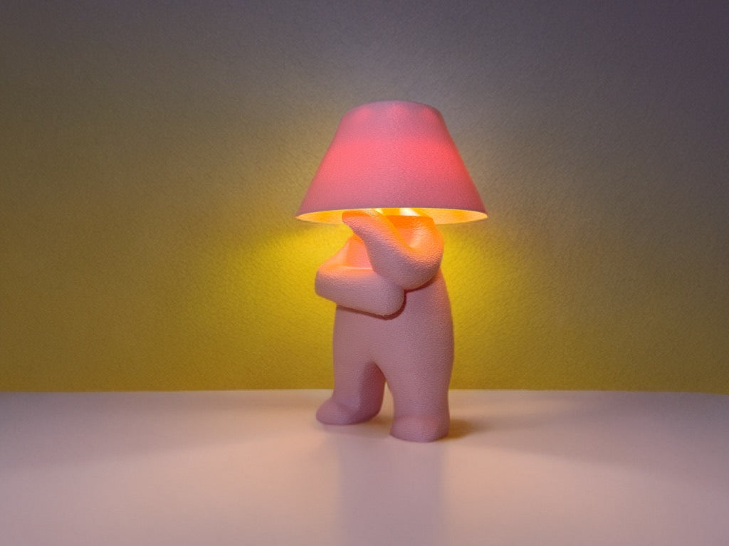 LOOPY LAMP - WISE