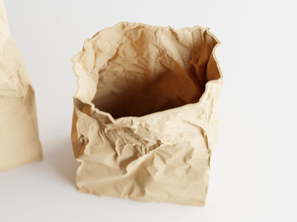 Potted paper vase