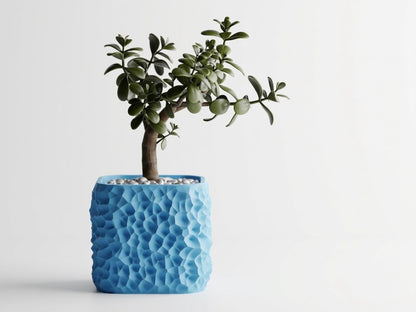 Terraform plant pot