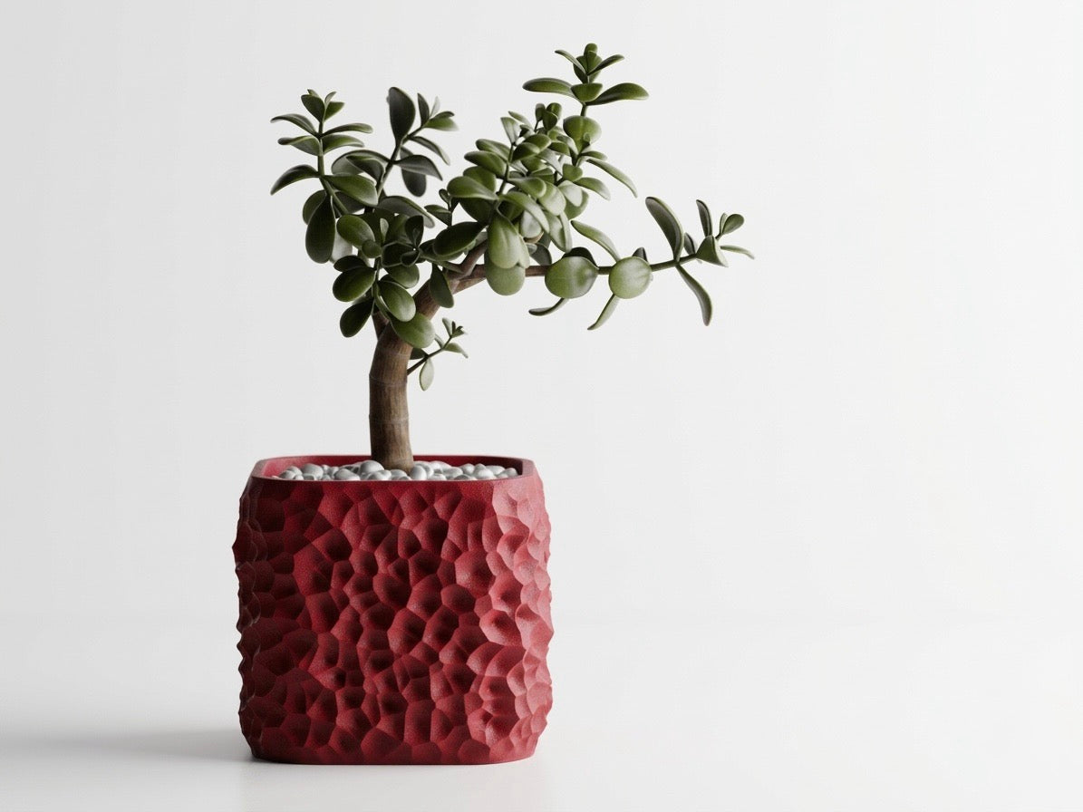 Terraform plant pot