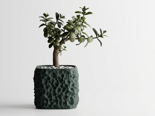 Terraform plant pot
