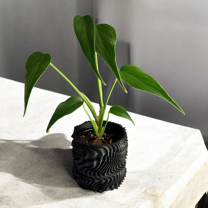 Oscilla plant pot