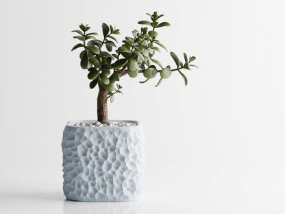 Terraform plant pot