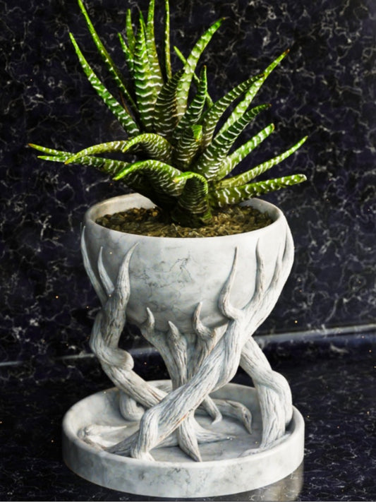 Spiral tree pot