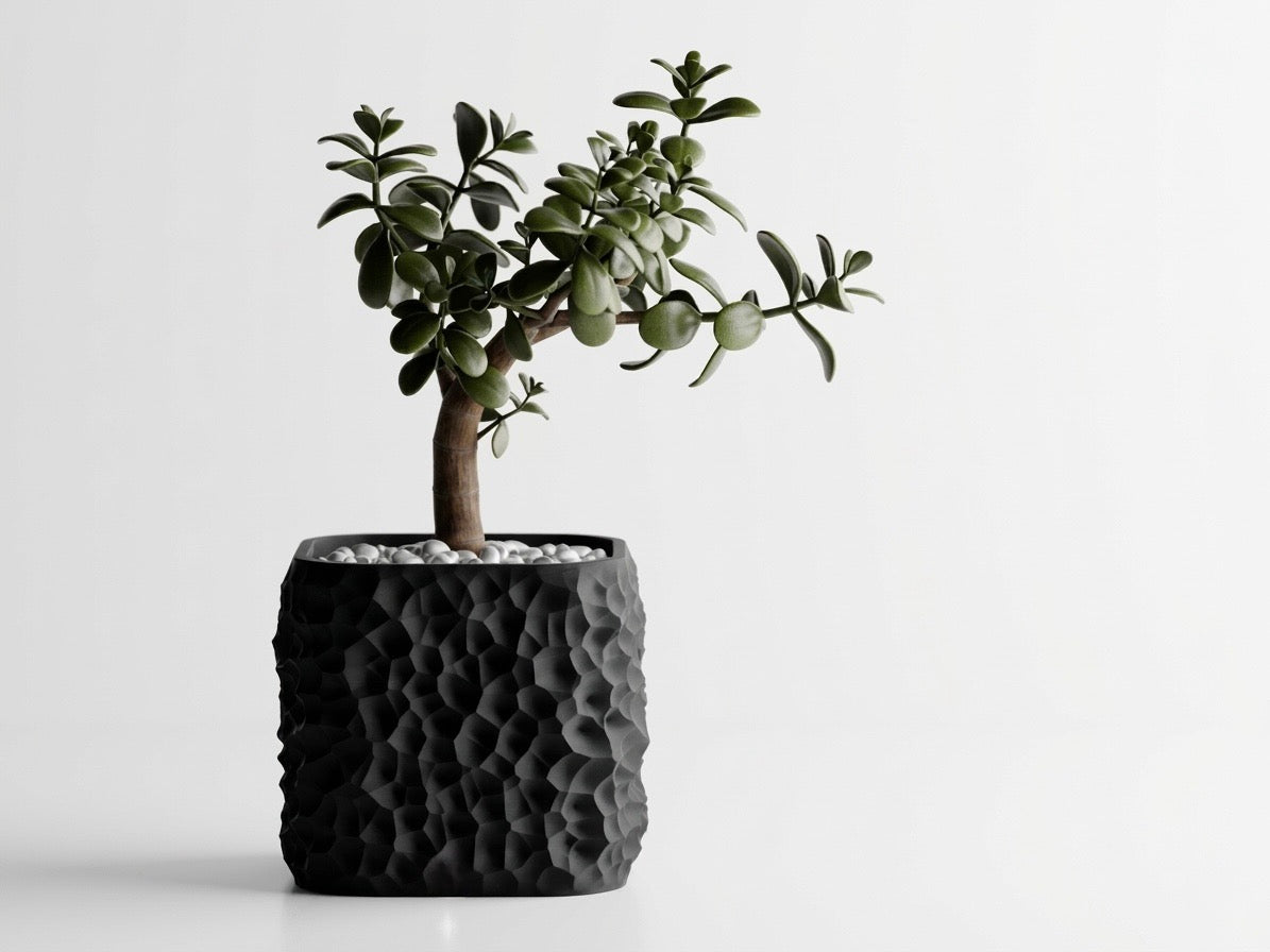 Terraform plant pot