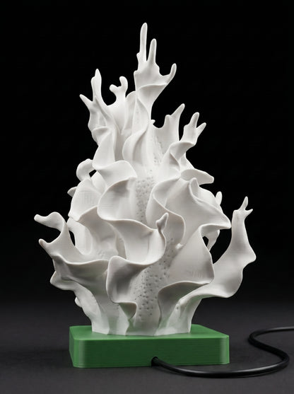 SeaCoral Light Lamp