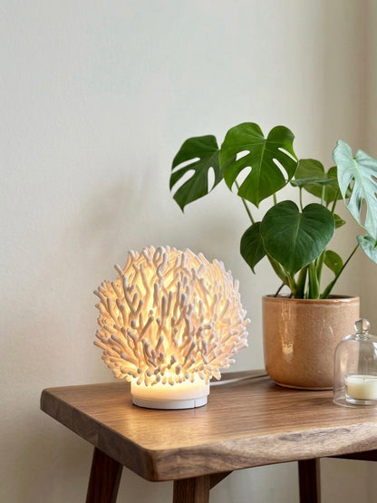 Coral lamp
