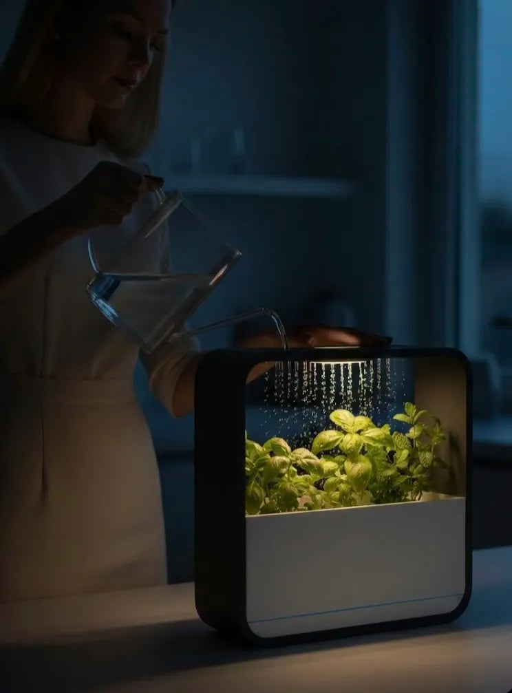 HydroSquare Rain Planter