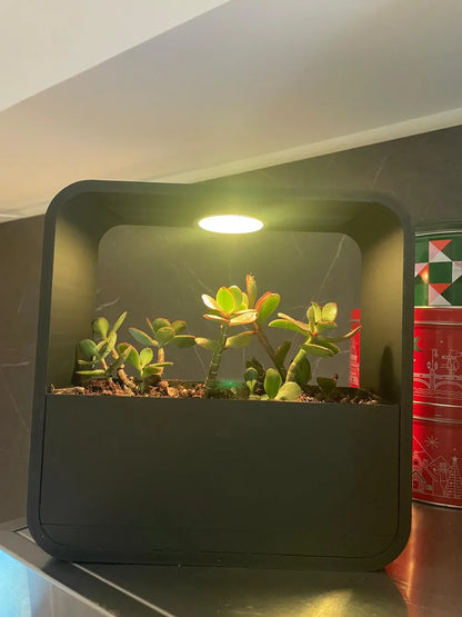 HydroSquare Rain Planter