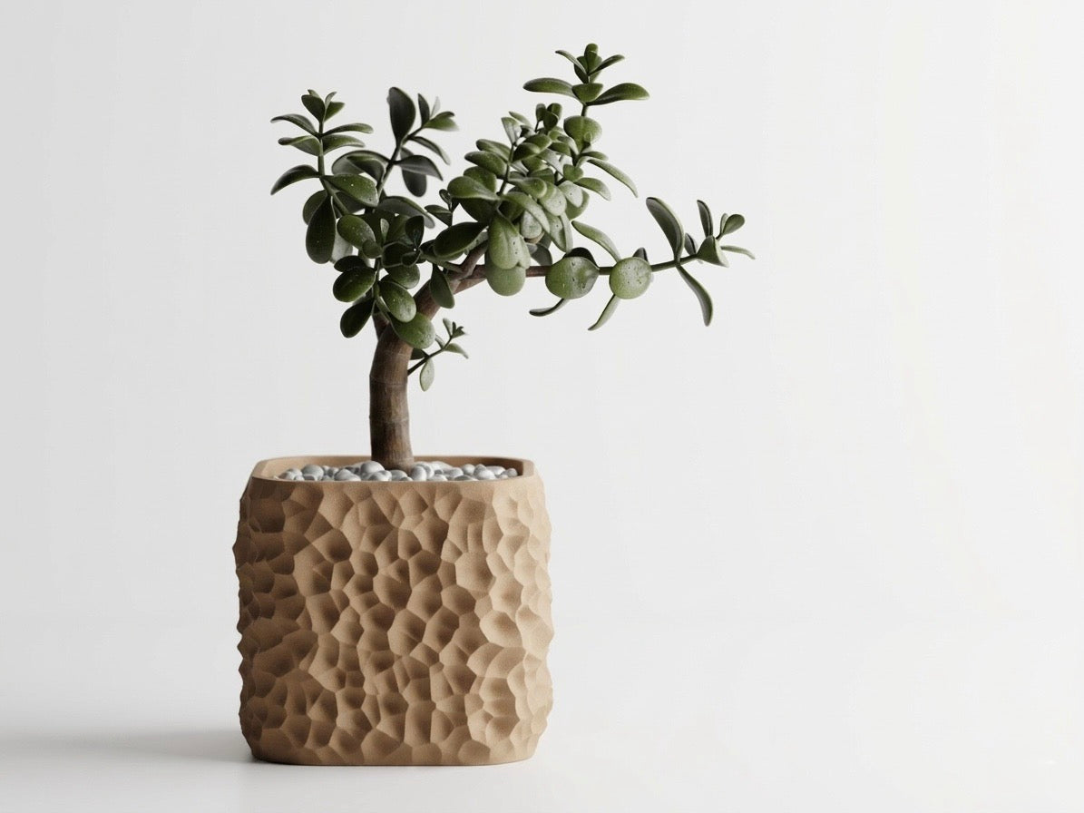 Terraform plant pot
