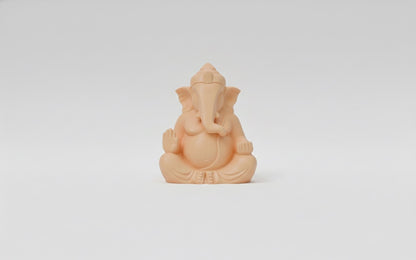 Lord Ganesha statue indoor