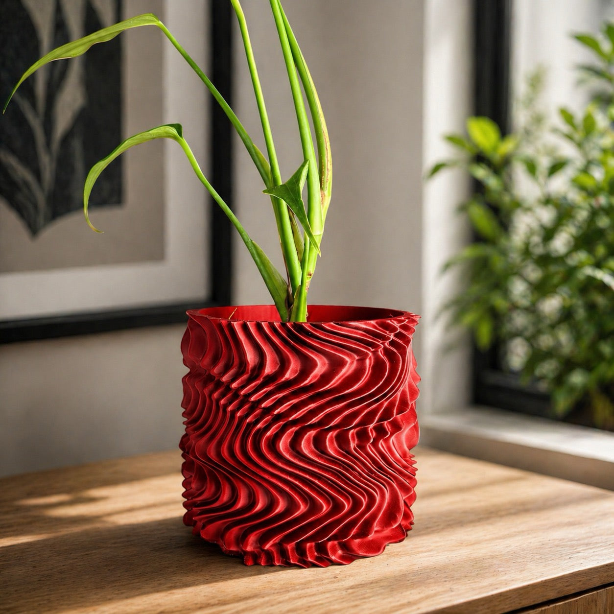 Oscilla plant pot