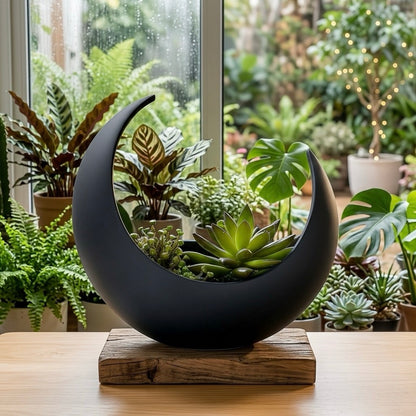 Moon decor pot