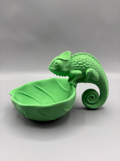 Chameleon Catchall Bowl – Key Holder Tray
