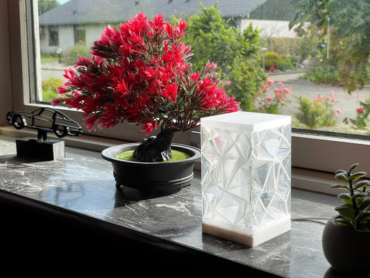 frozen ice LED lamp/ table lamp